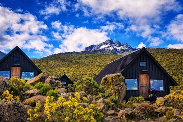 Five Worlds climate band on Kilimanjaro ascent: Heath & Moorland near 3,500 M