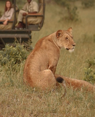 Serengeti National Park