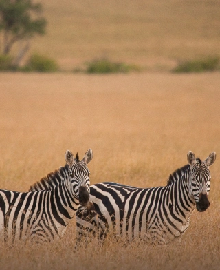 Serengeti National Park