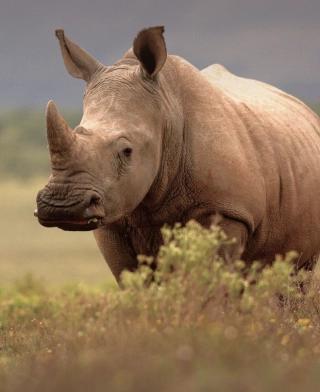 Serengeti National Park