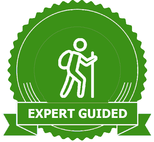 Expert Guide