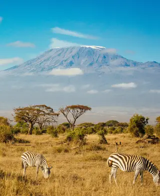 Kilimanjaro National Park