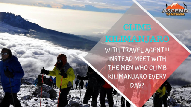 Climb mt hotsell kilimanjaro tours