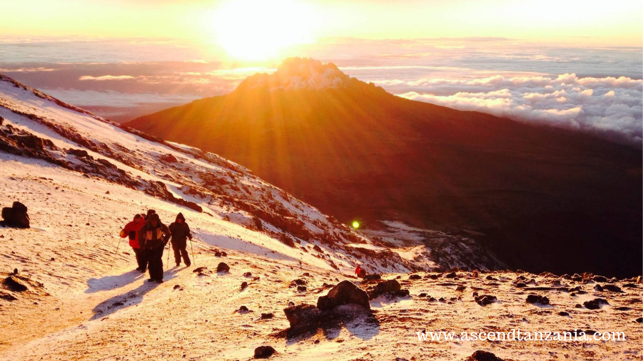 Comfortable Trek on Mount Kilimanjaro