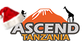 Logo of Ascend Tanzania