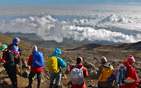 8 Days Lemosho Route With Crater Camp